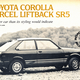 Illustration for article titled Ten Corollas I Care the Most for